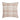 Pascal 20" Square Decorative Throw Pillow
