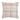 Pascal 20" Square Decorative Throw Pillow