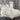 White Queen 4Pc. Comforter Set