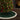 Evergreen Christmas Tree Skirt