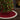 Crimson Quilted Christmas Tree Skirt