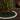 Evergreen Quilted Christmas Tree Skirt