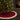 Crimson Christmas Tree Skirt