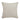 Sage 20inch Square Decorative Throw Pillow