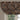 Wedgewood Window Waterfall Valance