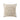 Sondra 20" Square Decorative Throw Pillow