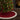Casey Sherpa Tree Skirt